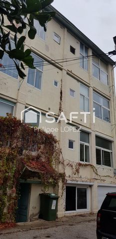 photo no. 12