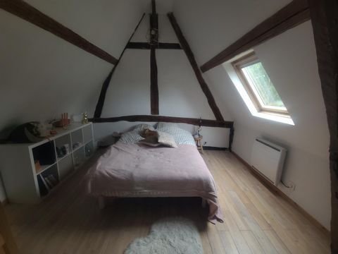 photo no. 11