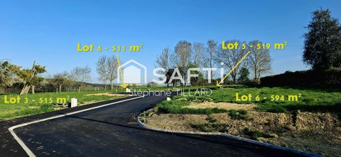 photo no. 1