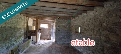 photo no. 12