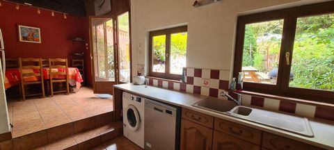 photo no. 12