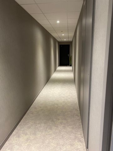 photo no. 10