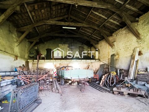 photo no. 13