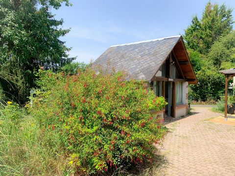 photo no. 1