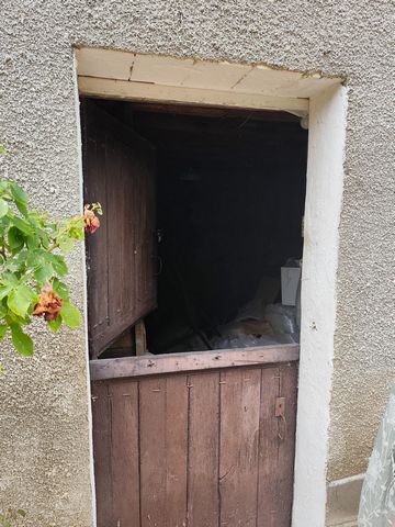 photo no. 13