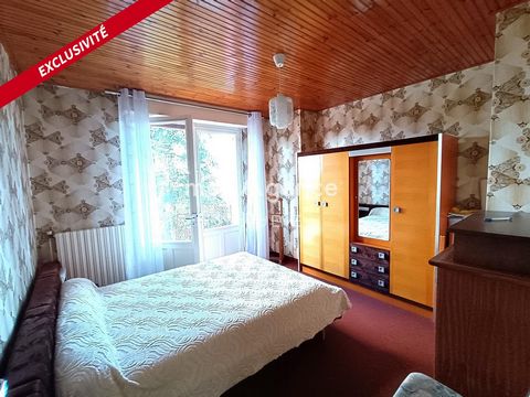 photo no. 11