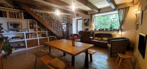 photo no. 13