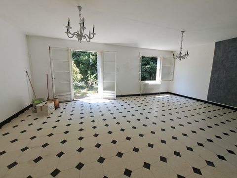photo no. 7
