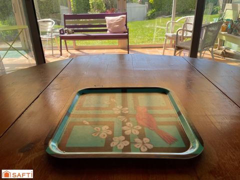 photo no. 12
