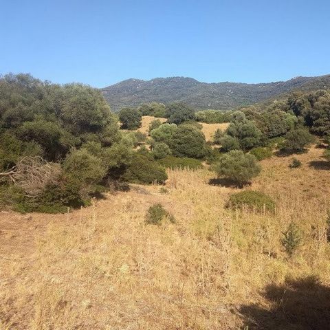 photo no. 6