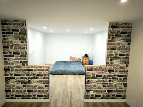 photo no. 13