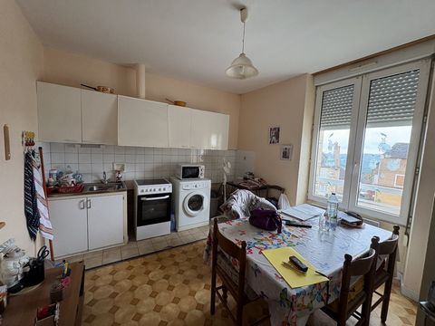 photo no. 13