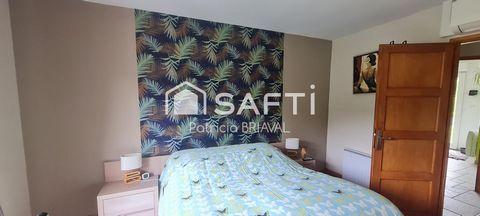photo no. 8