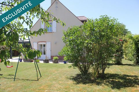 photo no. 11