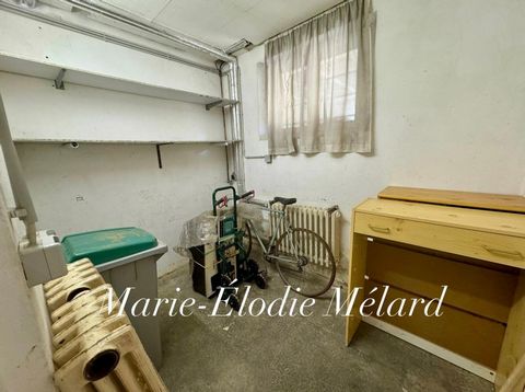 photo no. 13