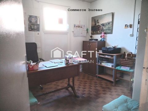 photo no. 16