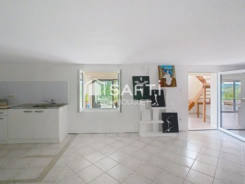 photo no. 17