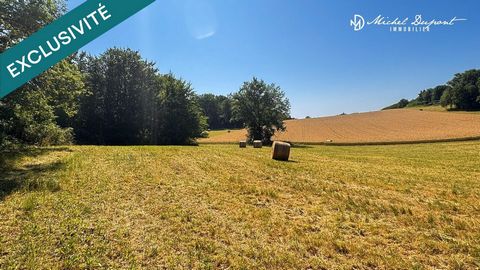 Terrain constructible de 4 986 m² à Limeuil – Vue dégagée et cadre naturel privilégié