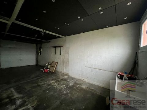 photo no. 6