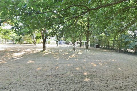 photo no. 3