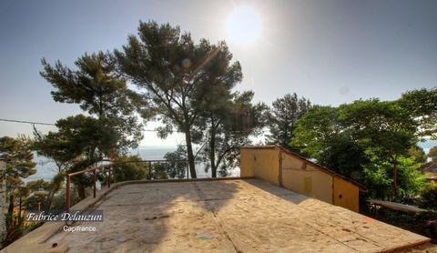 photo no. 2