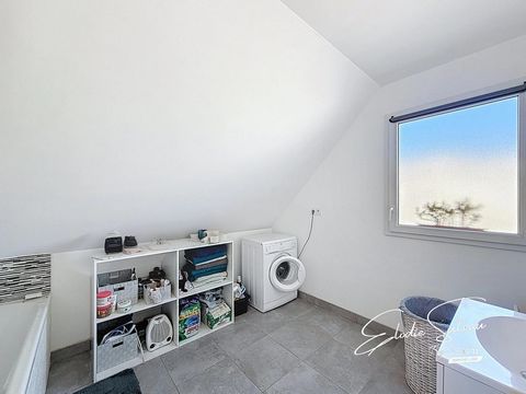 photo no. 14