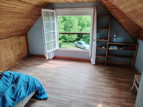 photo no. 8