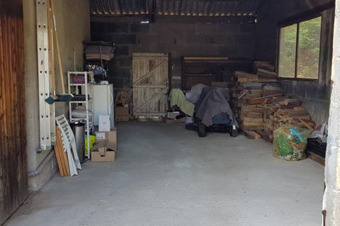 photo no. 15