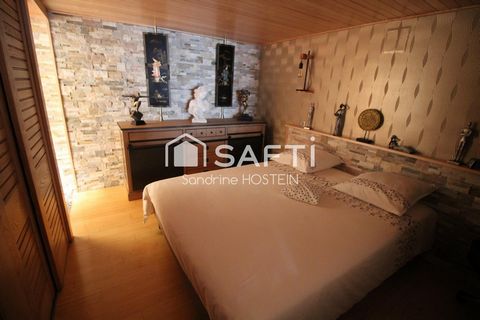 photo no. 11