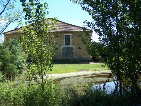 photo no. 35