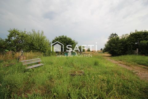 photo no. 10