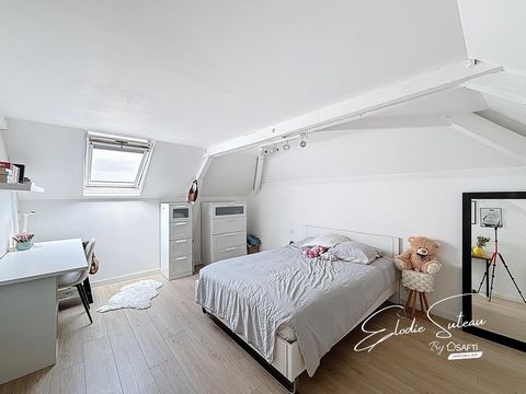 photo no. 12