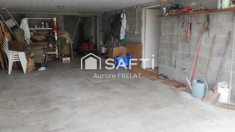 photo no. 11