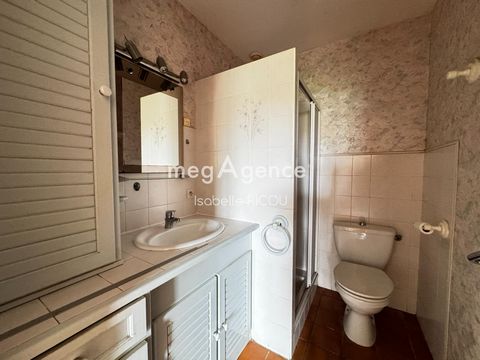 photo no. 8