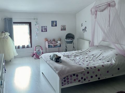 photo no. 12