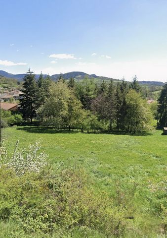 photo no. 1