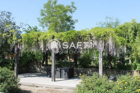 photo no. 6