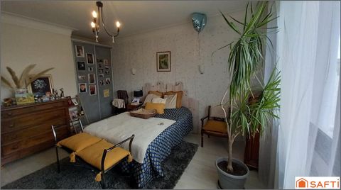 photo no. 11