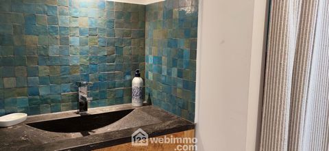 photo no. 12