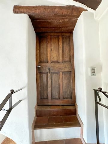 photo no. 9