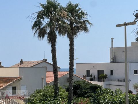 photo no. 12