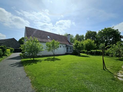 photo no. 25