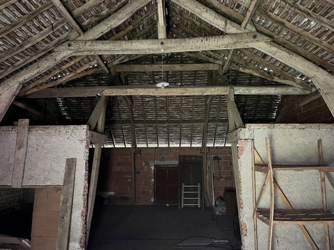 photo no. 8