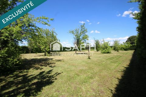 Terrain plat et arboré de 2 000 m² dans un cadre paisible, proche de Gaillac