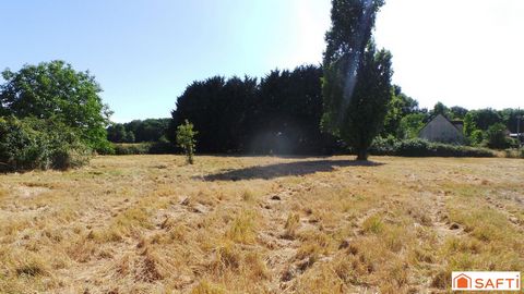photo no. 2