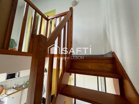photo no. 7