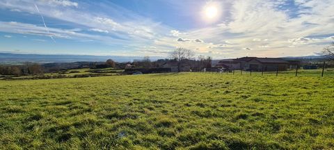 Dpt Loire (42), à vendre 10 minutes de BOEN terrain constructible de 2395 m²