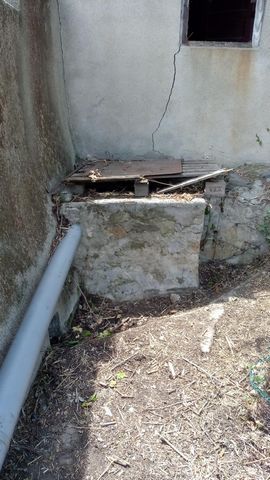 photo no. 15