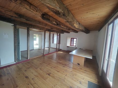 photo no. 16
