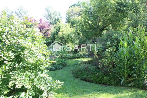 photo no. 11